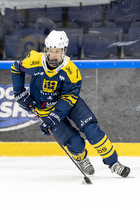 Klik for at se eller bestil foto