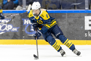 Klik for at se eller bestil foto