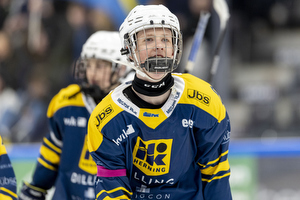 Klik for at se eller bestil foto