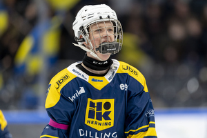 Klik for at se eller bestil foto