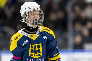 Klik for at se eller bestil foto