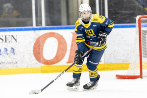 Klik for at se eller bestil foto