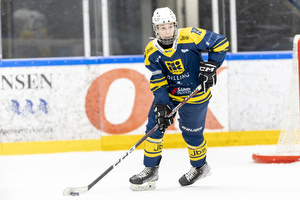 Klik for at se eller bestil foto