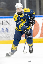 Klik for at se eller bestil foto