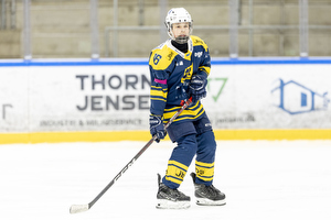 Klik for at se eller bestil foto