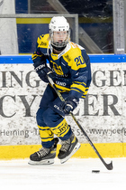 Klik for at se eller bestil foto