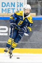 Klik for at se eller bestil foto