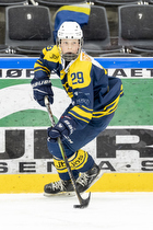 Klik for at se eller bestil foto