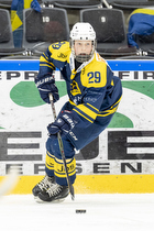 Klik for at se eller bestil foto