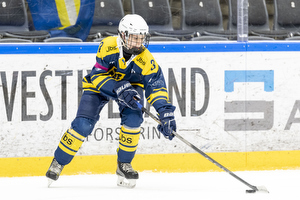 Klik for at se eller bestil foto