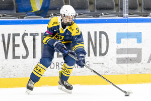 Klik for at se eller bestil foto