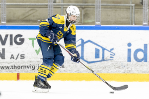 Klik for at se eller bestil foto