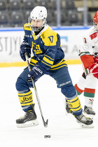 Klik for at se eller bestil foto