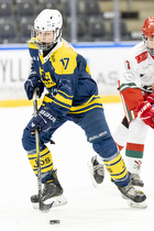 Klik for at se eller bestil foto