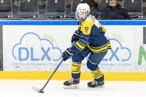 Klik for at se eller bestil foto