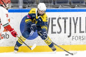 Klik for at se eller bestil foto