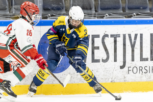 Klik for at se eller bestil foto