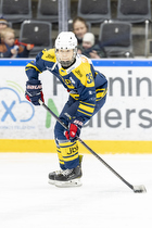 Klik for at se eller bestil foto