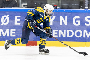 Klik for at se eller bestil foto