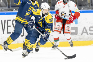 Klik for at se eller bestil foto