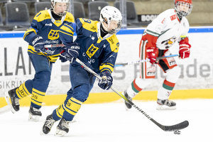 Klik for at se eller bestil foto