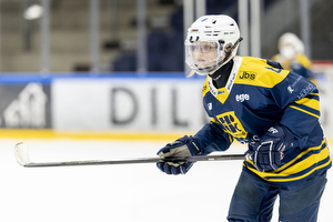 Klik for at se eller bestil foto