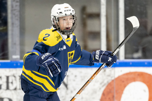 Klik for at se eller bestil foto