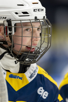 Klik for at se eller bestil foto