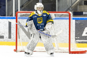 Klik for at se eller bestil foto