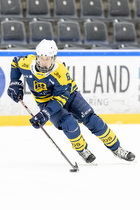 Klik for at se eller bestil foto