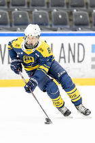 Klik for at se eller bestil foto