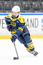 Klik for at se eller bestil foto