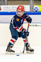 Klik for at se eller bestil foto