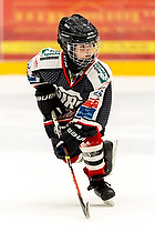 Klik for at se eller bestil foto