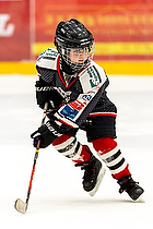 Klik for at se eller bestil foto