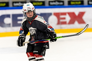 Klik for at se eller bestil foto