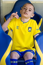 Klik for at se eller bestil foto