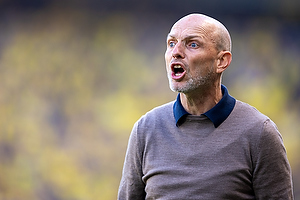 Jesper S�rensen, cheftr�ner  (Br�ndby IF)