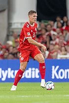 Jannik Vestergaard  (Danmark)