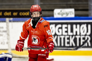 Klik for at se eller bestil foto