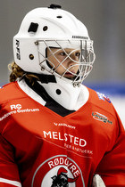 Klik for at se eller bestil foto