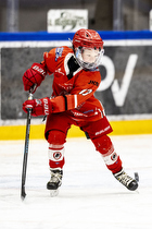 Klik for at se eller bestil foto