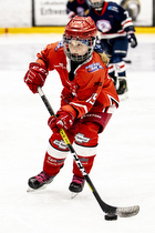 Klik for at se eller bestil foto