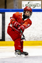 Klik for at se eller bestil foto