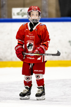 Klik for at se eller bestil foto