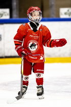 Klik for at se eller bestil foto