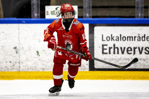 Klik for at se eller bestil foto