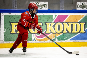 Klik for at se eller bestil foto