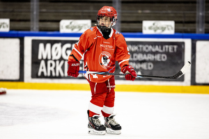 Klik for at se eller bestil foto