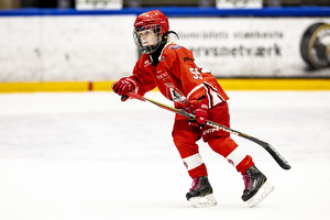Klik for at se eller bestil foto